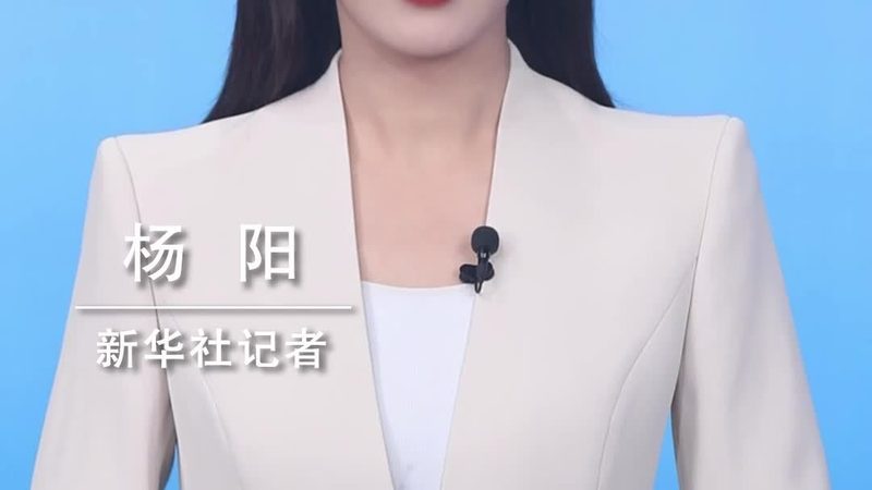 数据可视化，Python库的选择之道